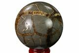 Polished Septarian Sphere - Utah #167611-1